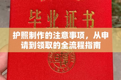 丰镇护照制作的注意事项，从申请到领取的全流程指南
